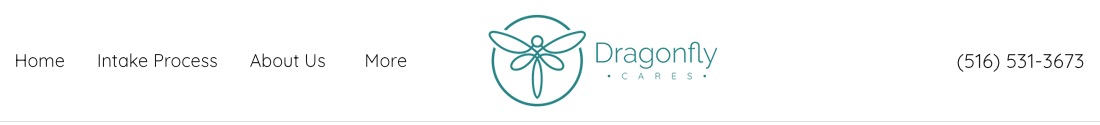 Dragonfly Cares